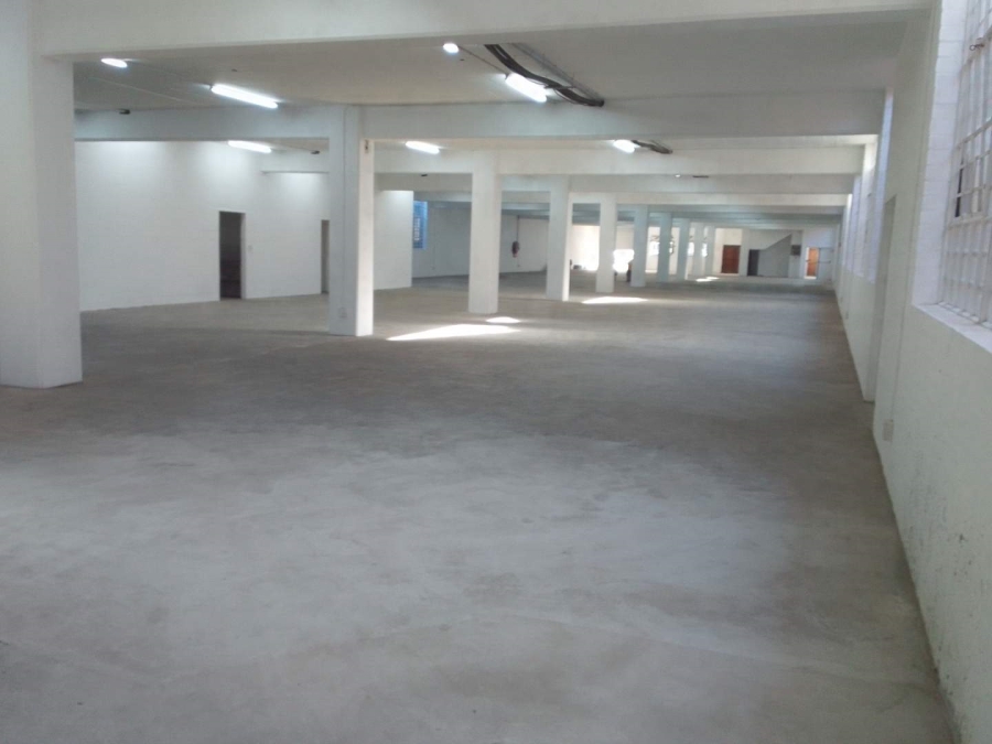 To Let commercial Property for Rent in Southfield Western Cape